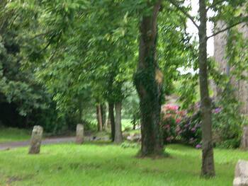 Jardin fleuri